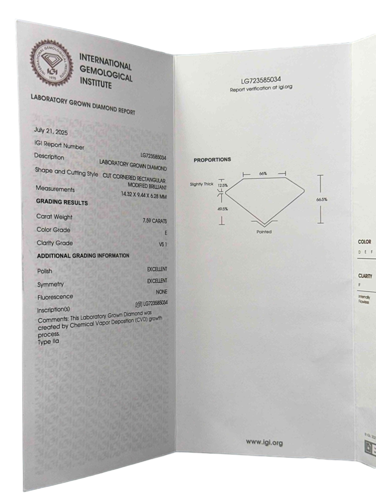 IGI Certificate — page 2